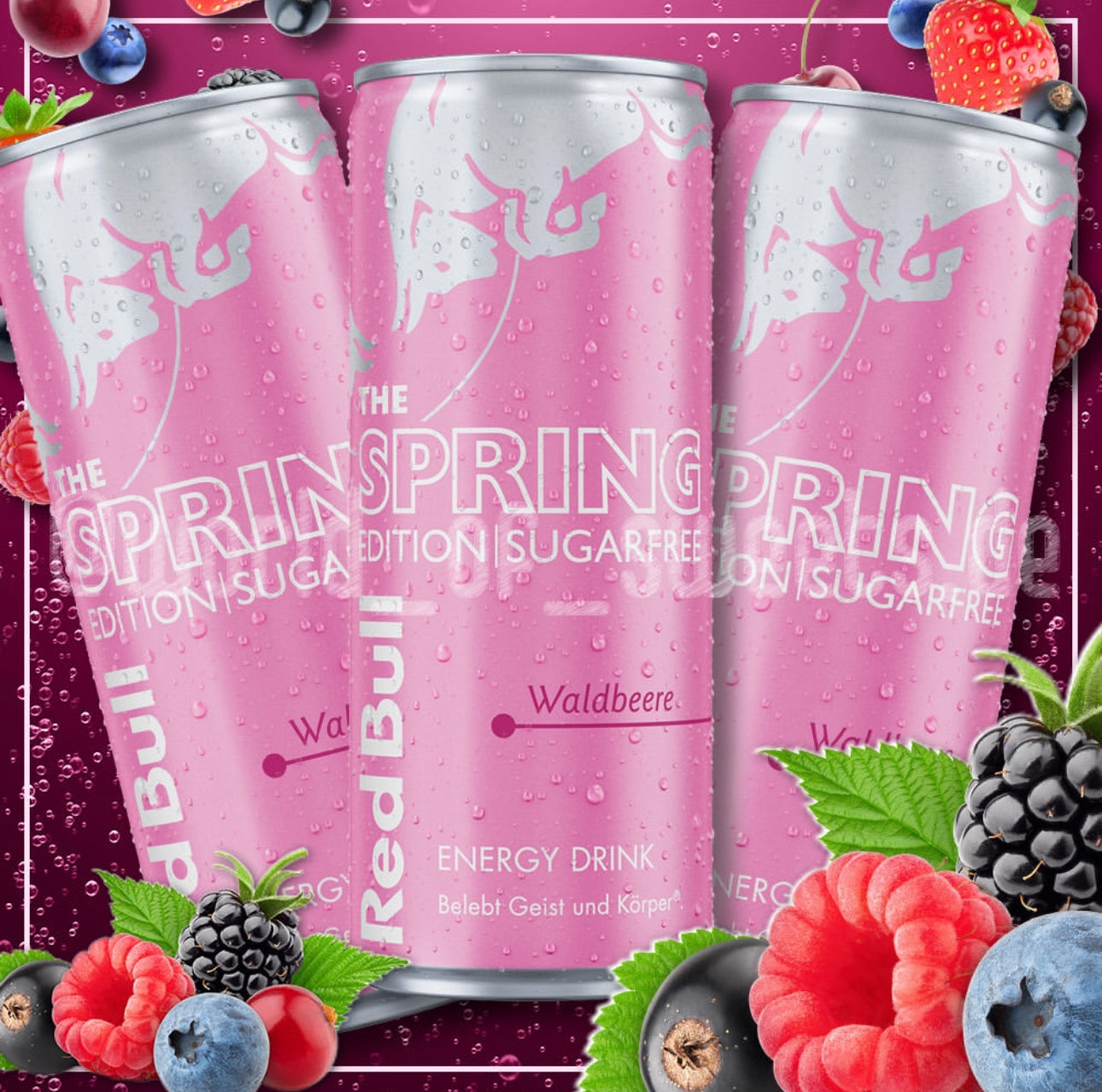 Red Bull Wild Berry